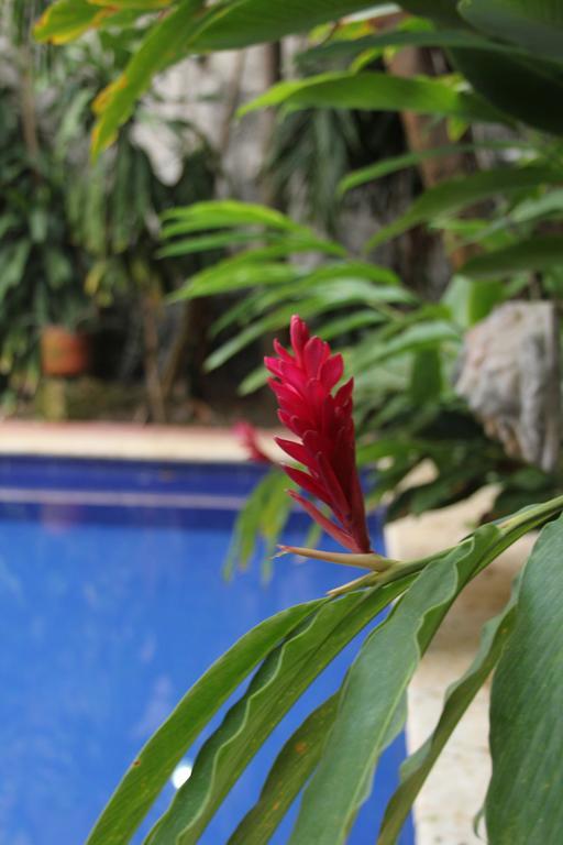 Hotel Casa Del Tejadillo Cartagena (Kolumbien)